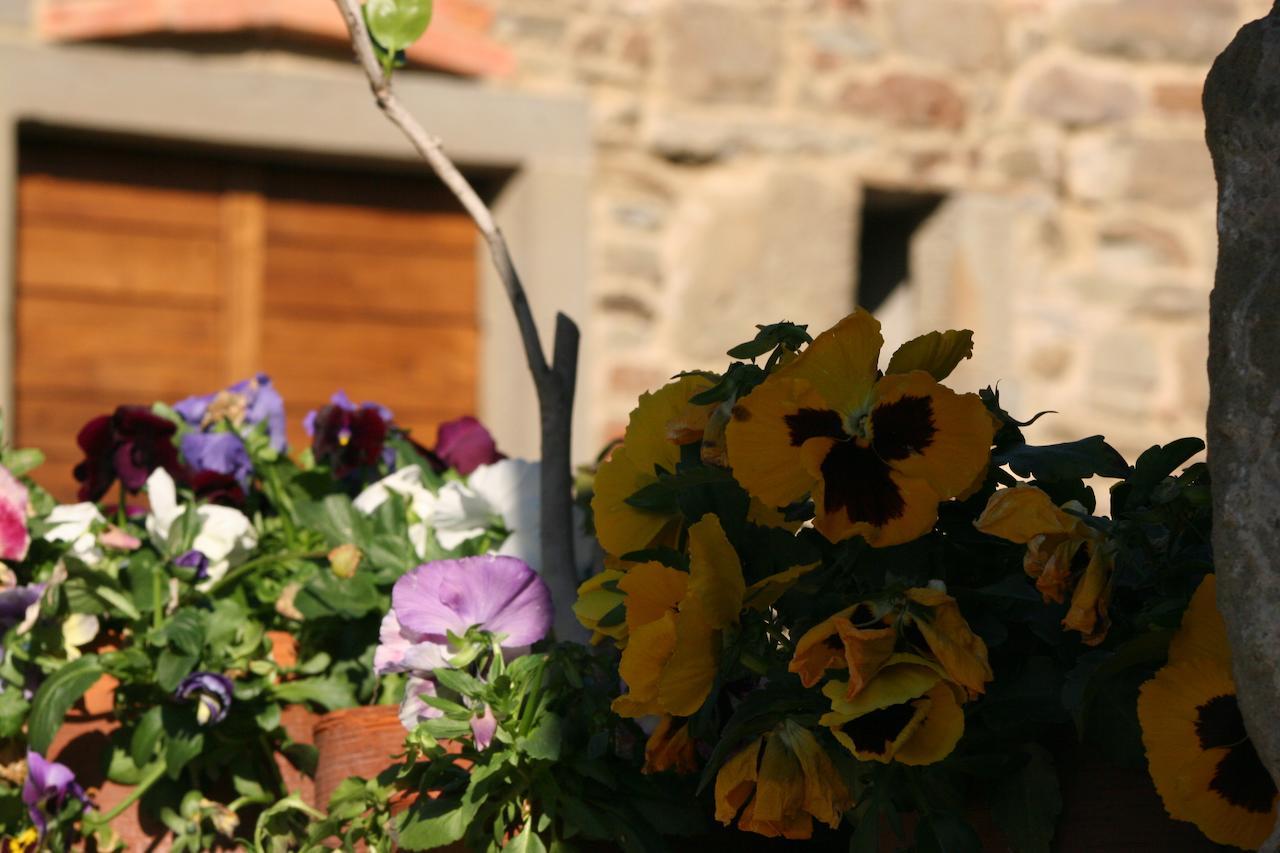Podere Pian De' Cortini Villa Serravalle  Esterno foto